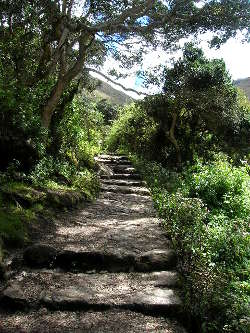 camino del inca peru
